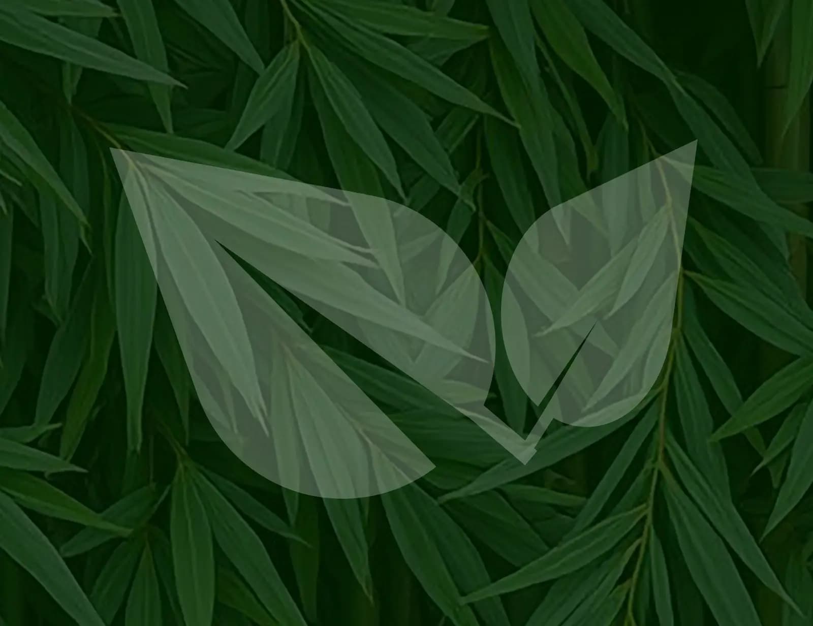Liść — naturalny akcent marki Spanell
